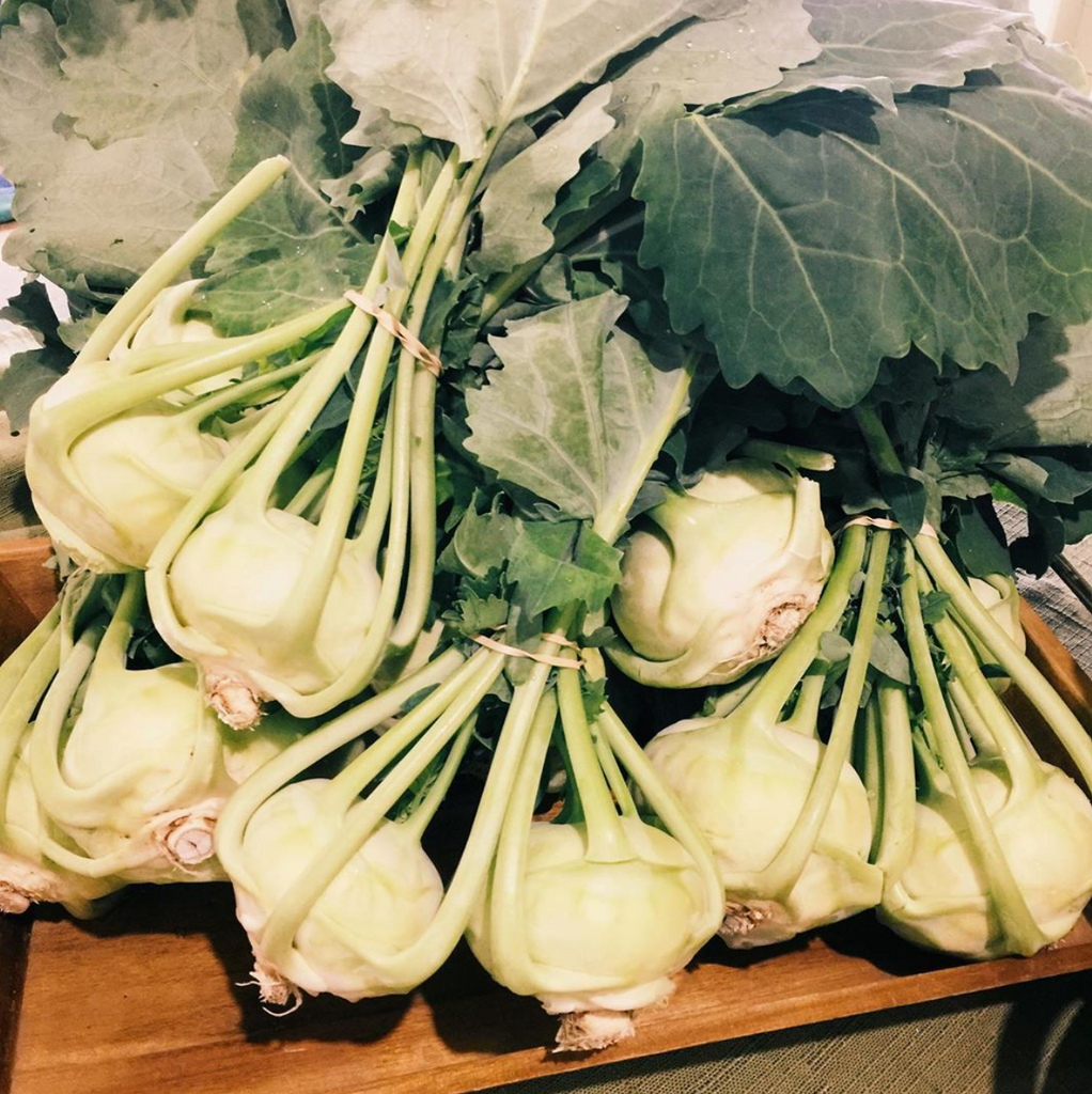 Kohlrabi