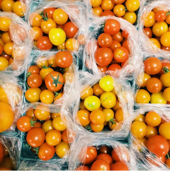Cherry Tomatoes Small Wheel Farm