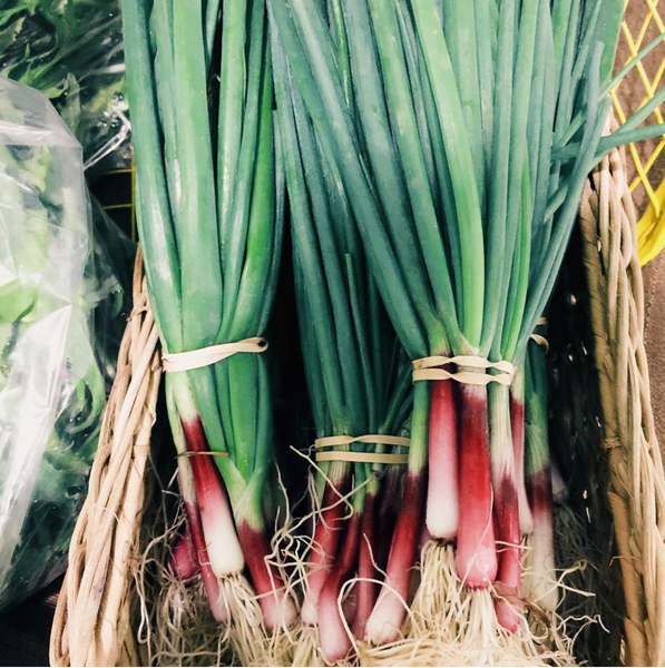 Scallion Small Wheel Farm