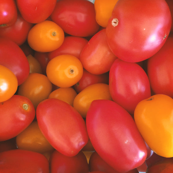 Tomatoes Small Wheel Farm