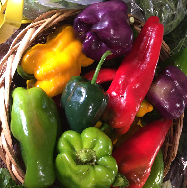 Bell Pepper Small Wheel Farm