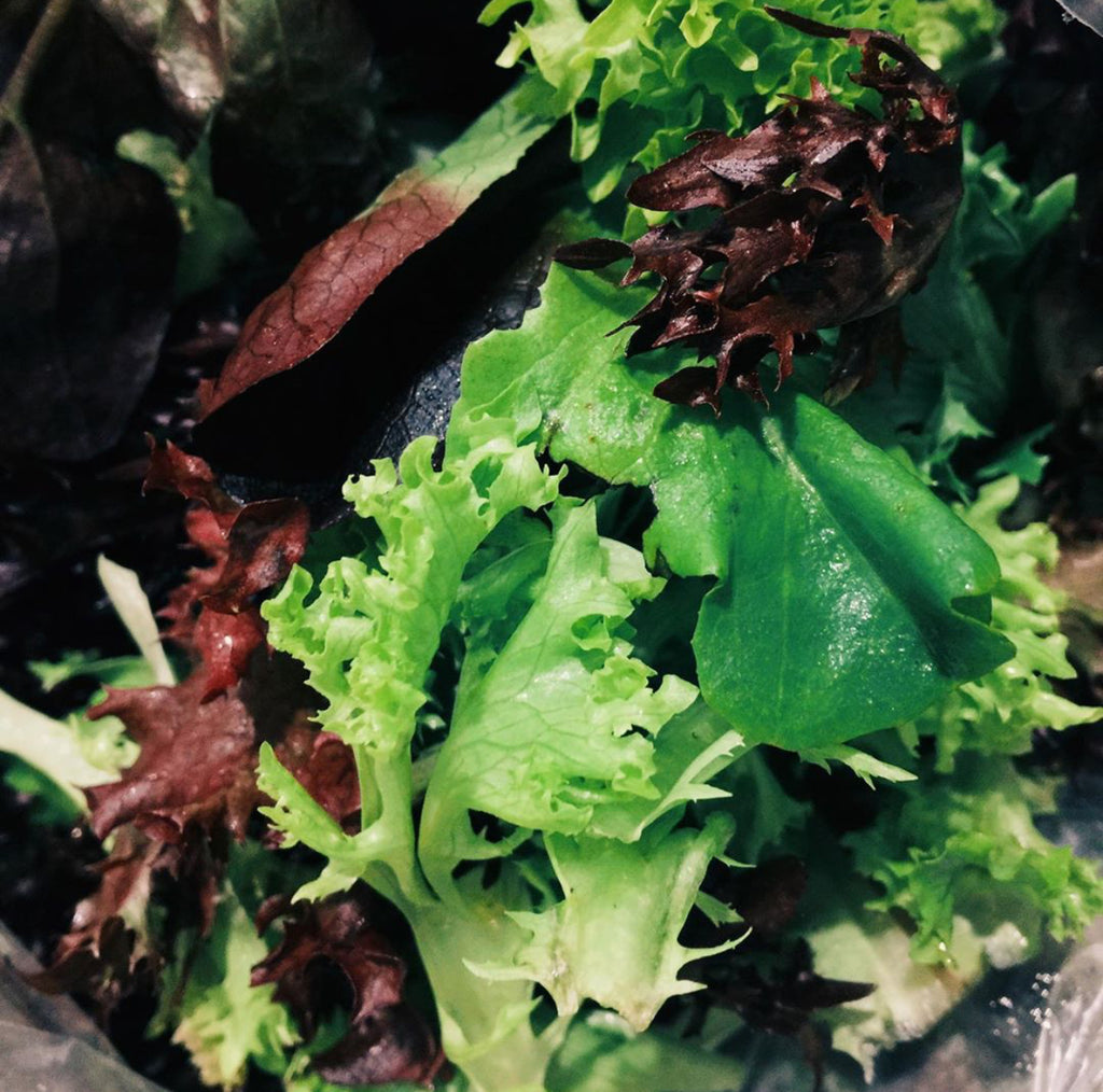Lettuce Mix