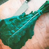 Kale Bunch (reko)