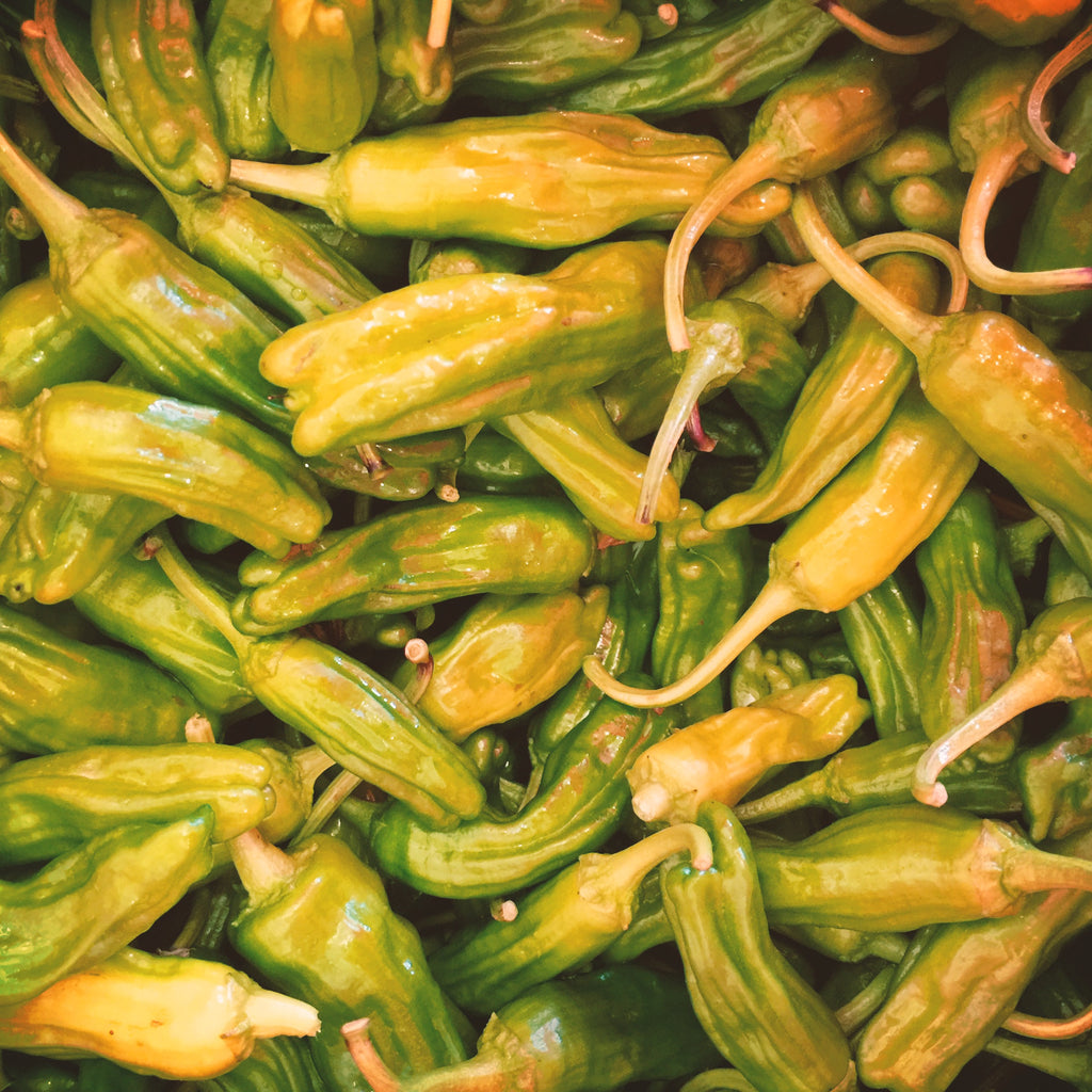 Shishito Peppers