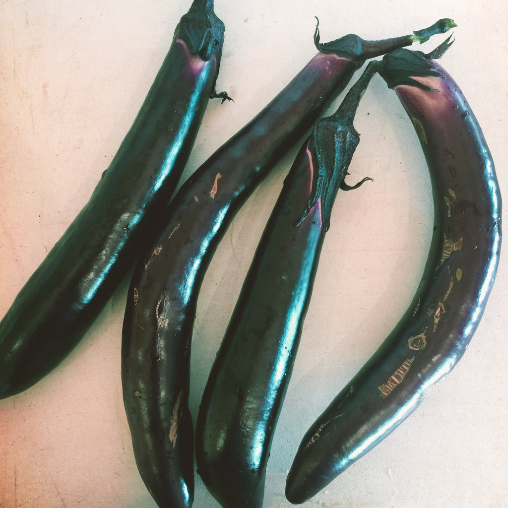 Eggplant