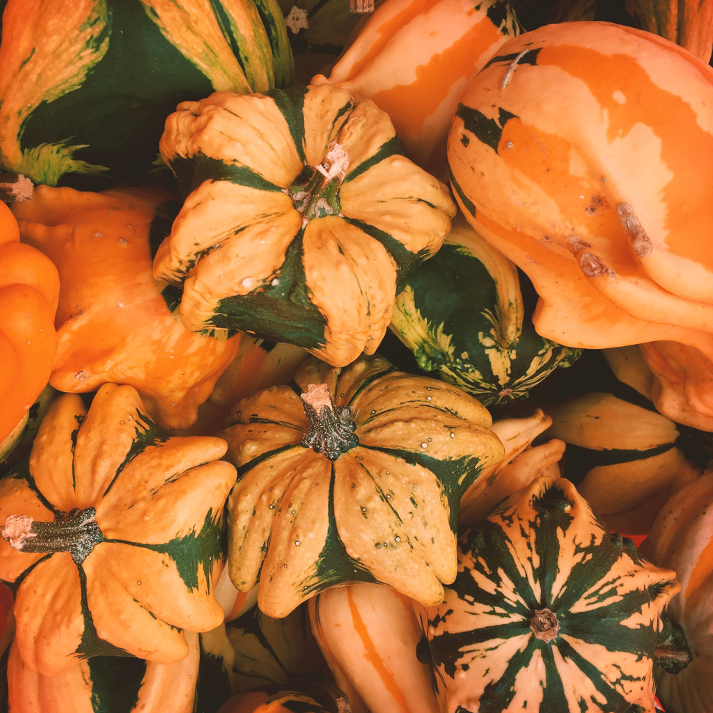 Decorative Gourd Set